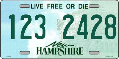 NH license plate 1232428