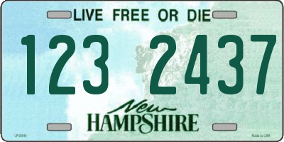 NH license plate 1232437