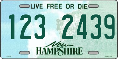 NH license plate 1232439