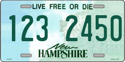 NH license plate 1232450