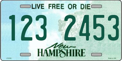 NH license plate 1232453