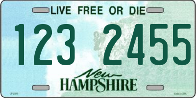 NH license plate 1232455