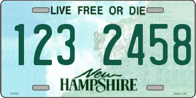 NH license plate 1232458