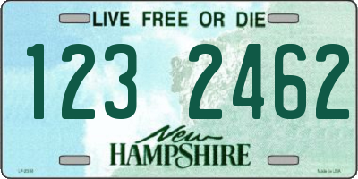 NH license plate 1232462