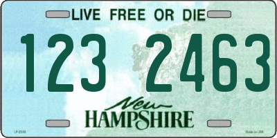 NH license plate 1232463