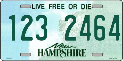 NH license plate 1232464