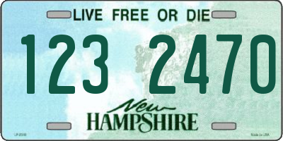 NH license plate 1232470