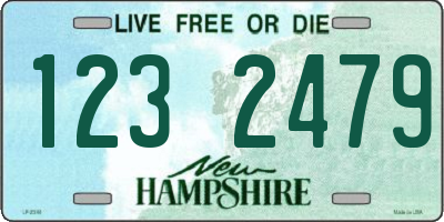 NH license plate 1232479