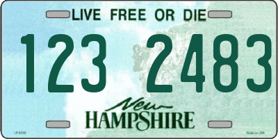 NH license plate 1232483