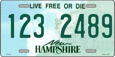 NH license plate 1232489
