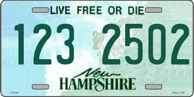 NH license plate 1232502