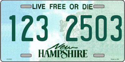 NH license plate 1232503