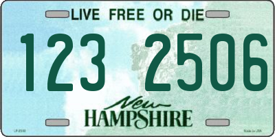 NH license plate 1232506