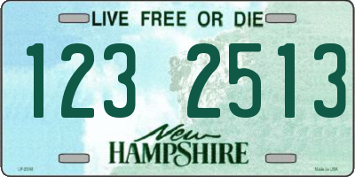 NH license plate 1232513