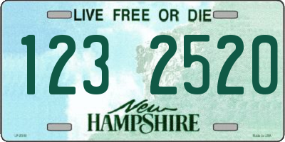 NH license plate 1232520