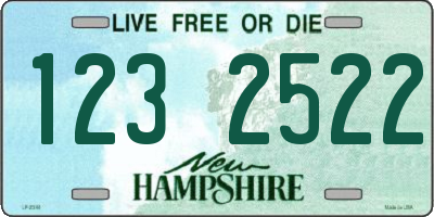 NH license plate 1232522