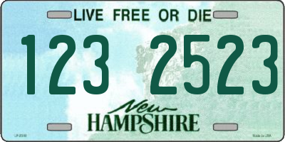 NH license plate 1232523
