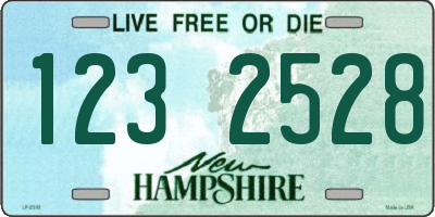 NH license plate 1232528