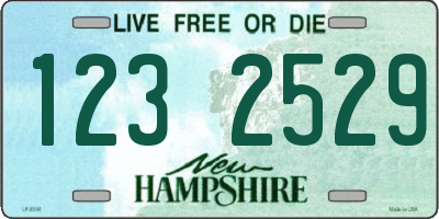 NH license plate 1232529