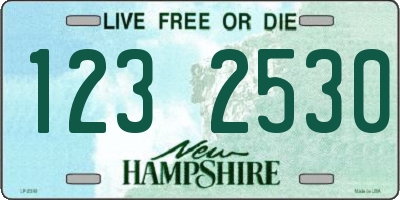 NH license plate 1232530