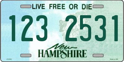 NH license plate 1232531