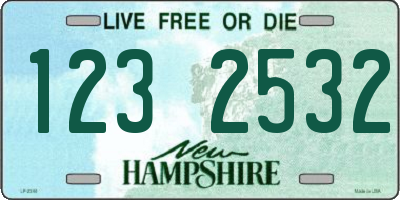 NH license plate 1232532