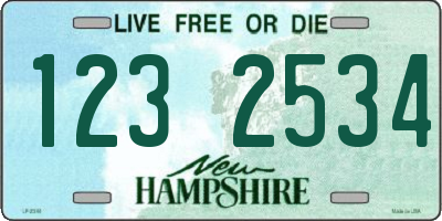 NH license plate 1232534