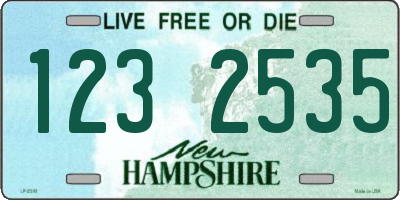 NH license plate 1232535