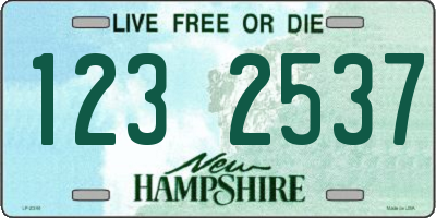 NH license plate 1232537