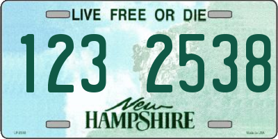NH license plate 1232538