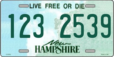 NH license plate 1232539