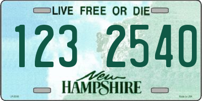 NH license plate 1232540
