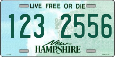 NH license plate 1232556