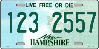 NH license plate 1232557