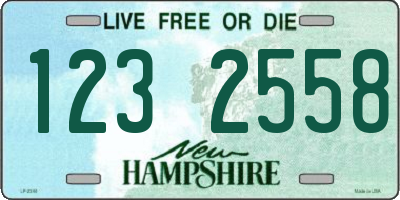 NH license plate 1232558