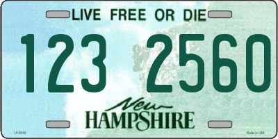 NH license plate 1232560