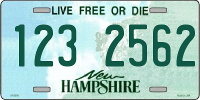 NH license plate 1232562