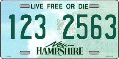 NH license plate 1232563