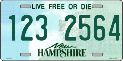 NH license plate 1232564