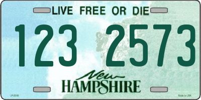 NH license plate 1232573