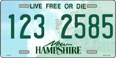 NH license plate 1232585