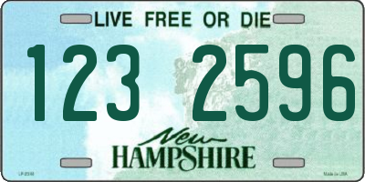 NH license plate 1232596