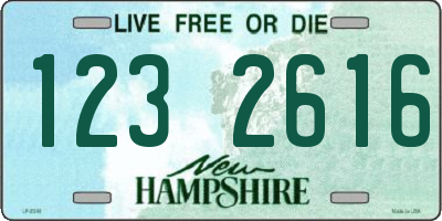 NH license plate 1232616