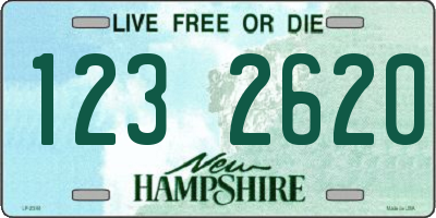 NH license plate 1232620