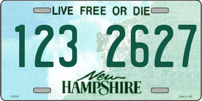 NH license plate 1232627