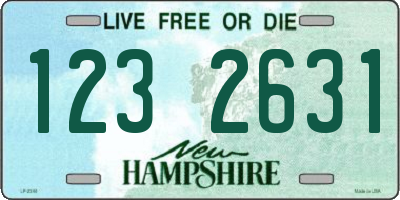 NH license plate 1232631