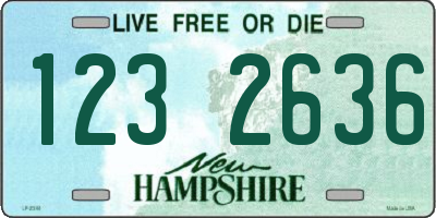 NH license plate 1232636