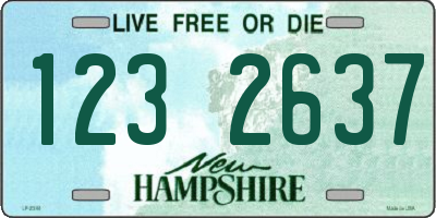 NH license plate 1232637