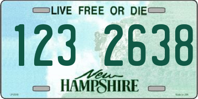 NH license plate 1232638