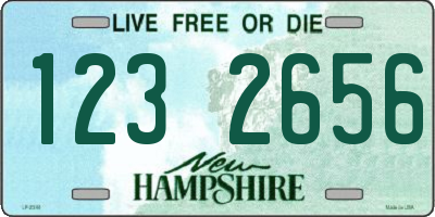 NH license plate 1232656
